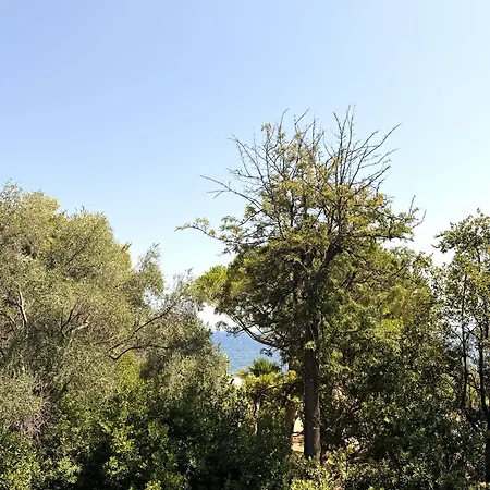 Apartamento 4 Pers Avec Terrasse Vue